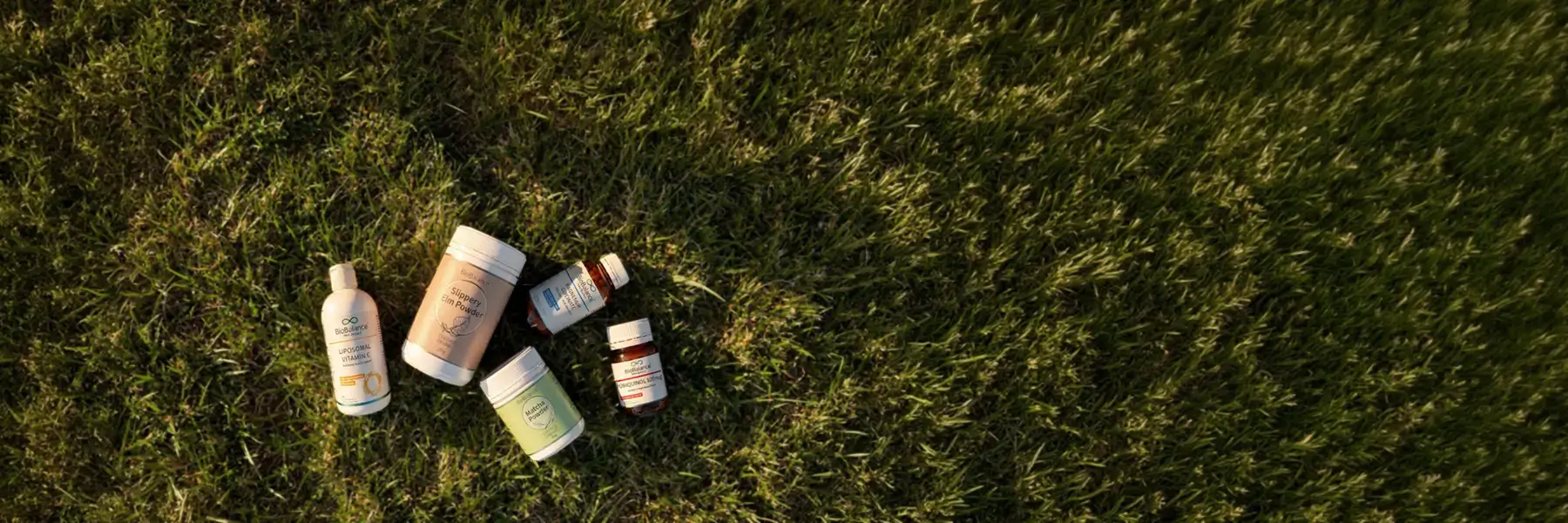 Welcome to Our Store